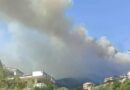 Trebisacce, brucia monte Mostarico. Fuoco e fiamme sfiorano le case, paura tra gli abitanti