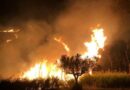 Grosso incendio a ridosso della Fondo Valle Treste, notte di lavoro per Vigili del Fuoco e Protezione Civile