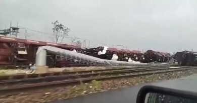 VIDEO – treno merci ribaltato dal vento a Borgo Mantovano, il sindaco: “Mai visto niente del genere”