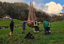 Cavallo scivola sul prato bagnato e finisce in un canale: è stato recuperato con l’autogrù dai vigili del fuoco